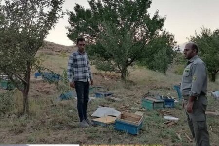 پرداخت ۳.۵ میلیارد ریال جبران خسارت حیات وحش در اردبیل