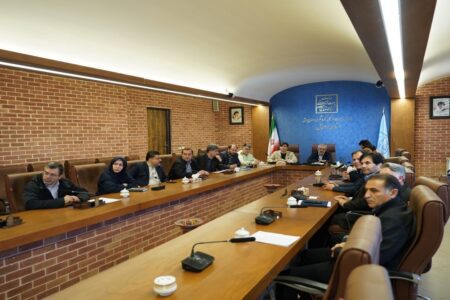 بررسی ۱۲ پرونده در کمیته باستان‌شناسی و فنی میراث‌فرهنگی استان اردبیل