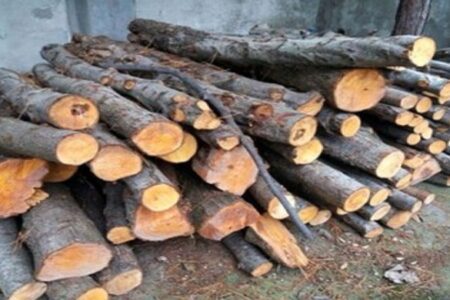 کشف و ضبط ۸ تن هیزم جنگلی قاچاق در اردبیل