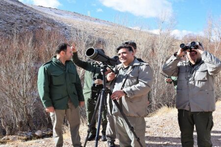 آغاز سرشماری زمستانه پستانداران در زیستگاه‌های اردبیل