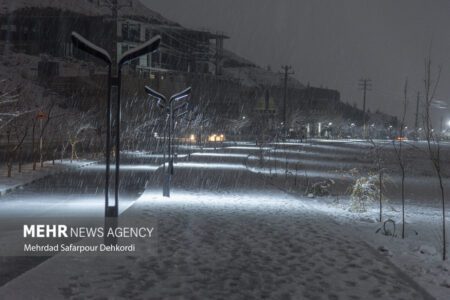 بارش برف در شیراز آغاز شد