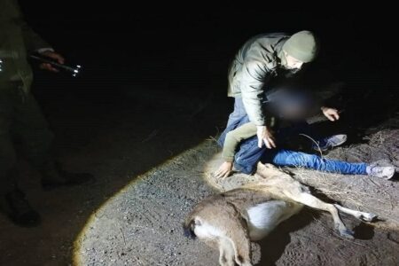 شکارچی بز کوهی طی تعقیب و گریز ۴ ساعته شبانه در شهرستان کوثر دستگیر شد