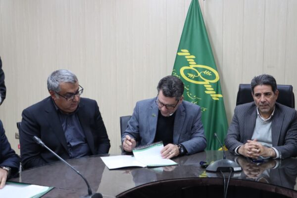 پایان ۳۰ ماه بلاتکلیفی بذر ذرت هیبریدی ۷۰۴ شرکت پارس با توافق فروش ۷ هزار تن